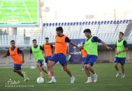 امیر قلعه نویی در گل گهر