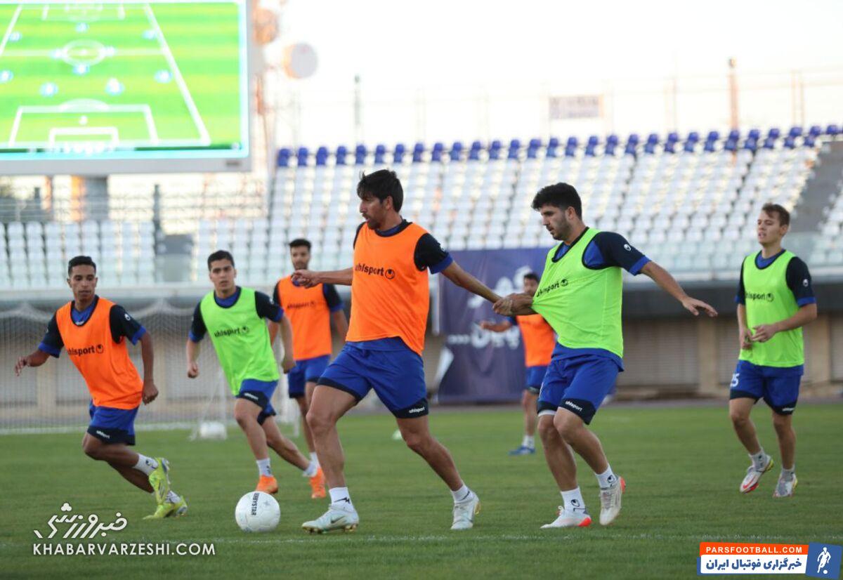 امیر قلعه نویی در گل گهر