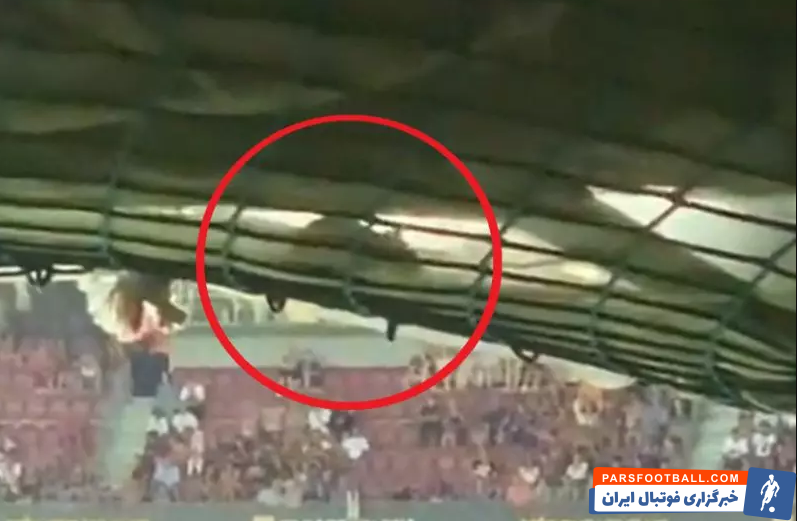 موش ها در ورزشگاه نوکمپ