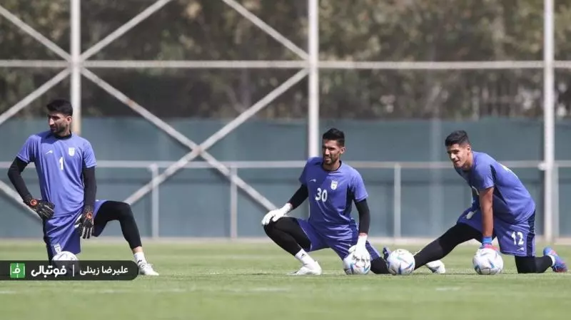 علیرضا بیرانوند