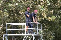 حضور کارلوس کی روش روی سکوهای دیده بانی کمپ برای تماشای تمرین ملی پوشان