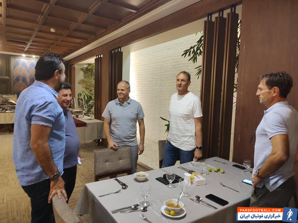 امیر قلعه نویی