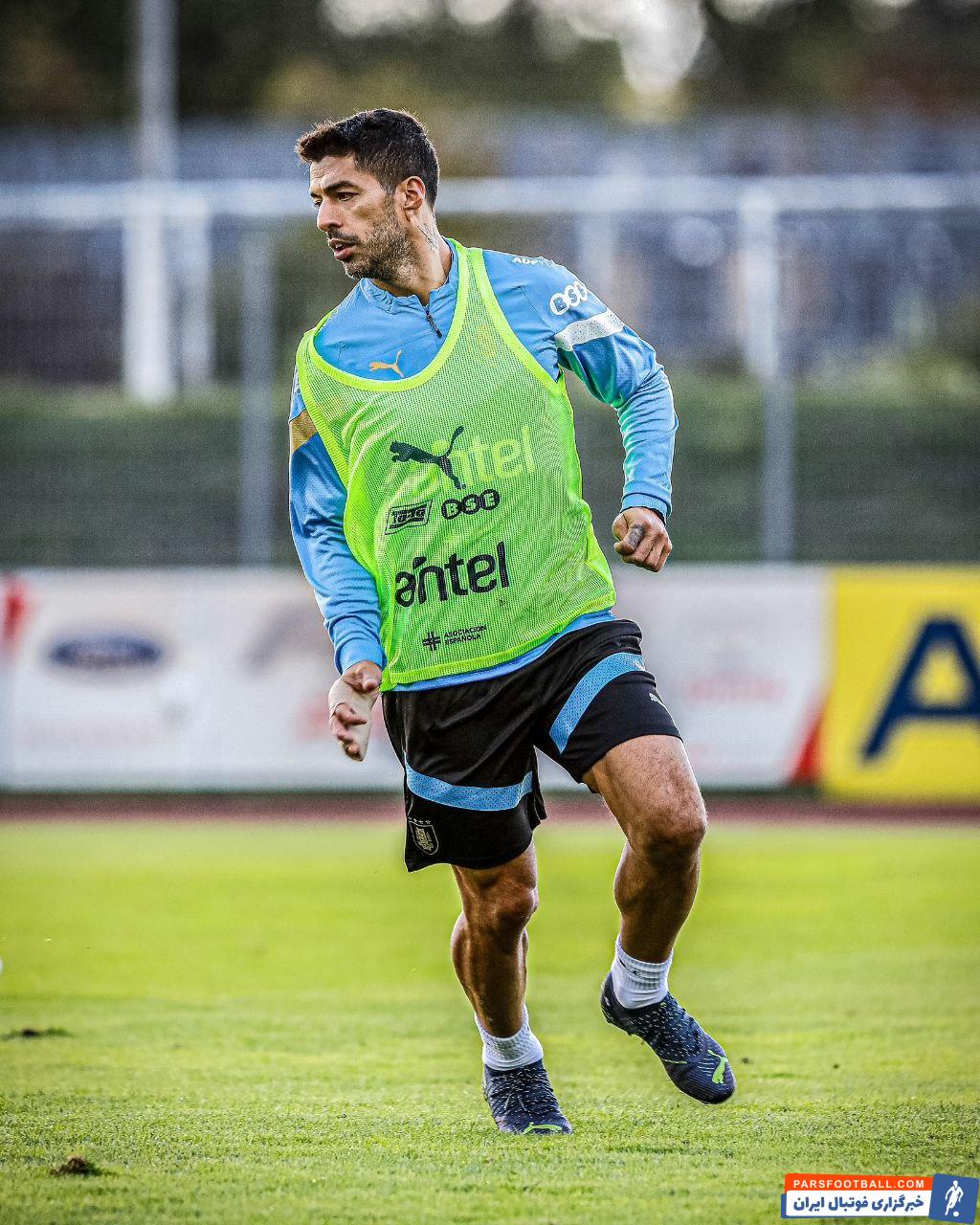 لوییز سوارز