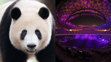 جام جهانی ؛ دو پاندای غول پیکر هدیه چین به قطر