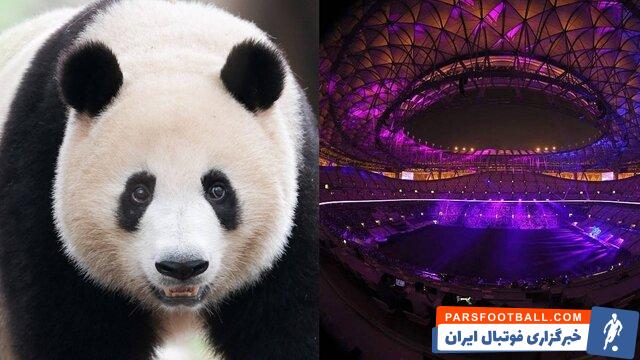 جام جهانی ؛ دو پاندای غول پیکر هدیه چین به قطر