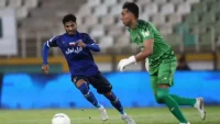 محمد محبی