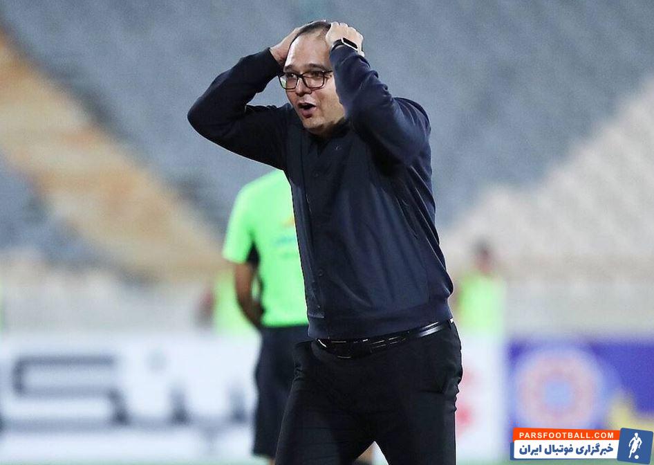 محمد ربیعی