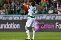 کریم انصاری فرد