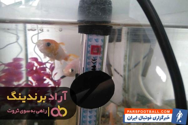 1 بخاری آکواریوم