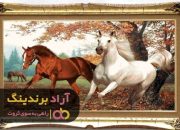 1 تابلو فرش ابریشم