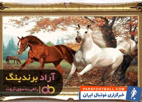 1 تابلو فرش ابریشم