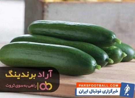 خیار صادراتی