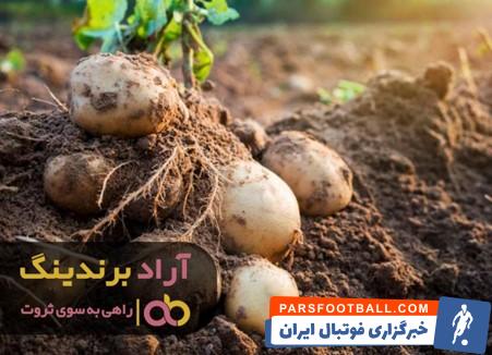 سیب زمینی پشندی