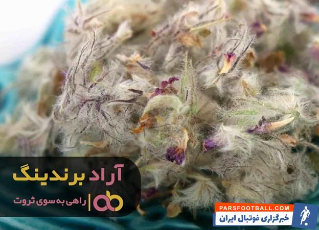 1 چای کوهی اعلا