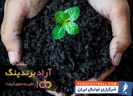 کود هیومیک اسید