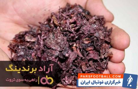 تفاله سیب