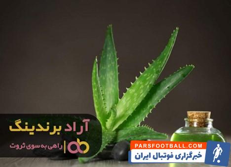 آلوئه ورا خوراکی