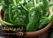 اسفناج تلخ