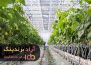 خیار ورامین