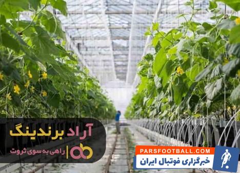 خیار ورامین