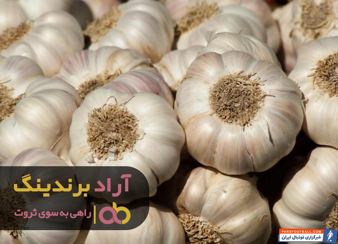 ترشی سیر
