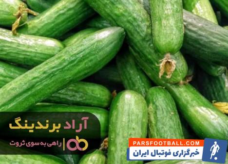 خیار درختی