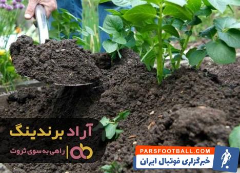 کود خانگی
