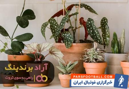 3 خرید گلدان سفالی ارزان