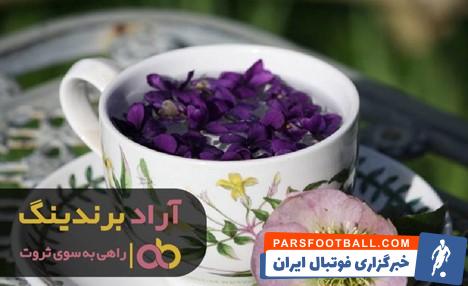 دمنوش گل گاوزبان