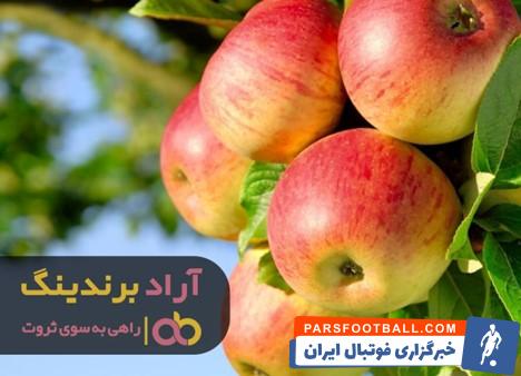 3 قیمت سیب درختی صادراتی