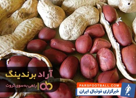 پودر بادام زمینی