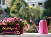 گلدان پلاستیکی گلخانه ای