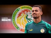 اندیایه ؛ گل ها و مهارت های اندیایه 2022/2023