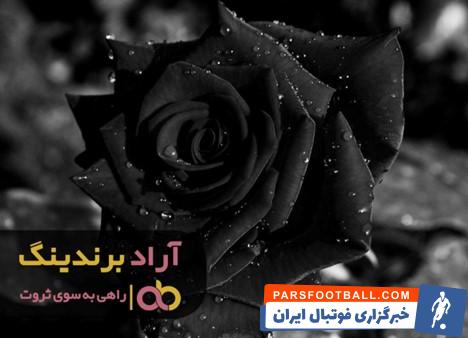 گل رز مشکی