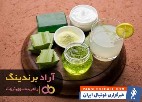 گیاه آلوئه ورا تازه