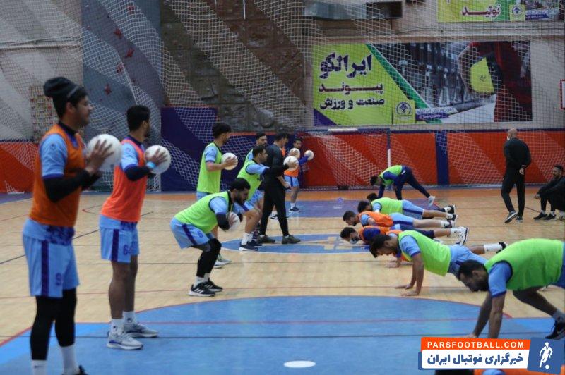 امیر قلعه نویی