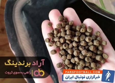 خوراک ماهی چینه