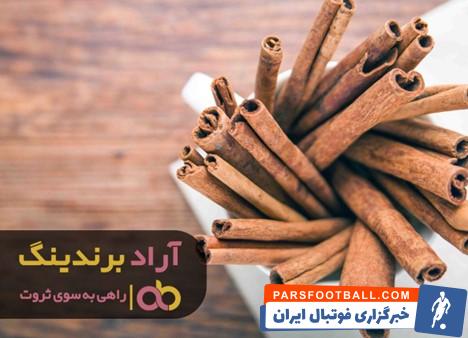 دارچین چوبی