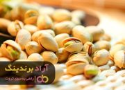 پسته شاه پسند دامغان