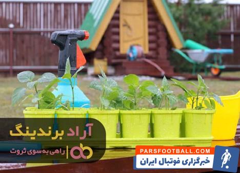 گلدان پلاستیکی کوچک