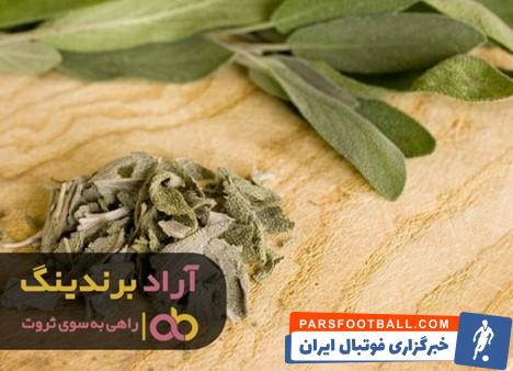 مریم گلی
