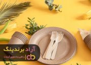 ظروف یکبار مصرف