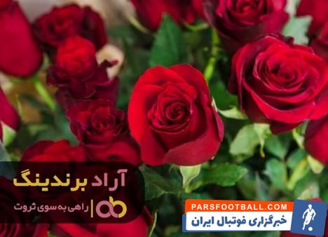 گل رز قرمز شاخه ای
