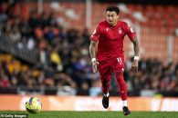 جسی لینگارد