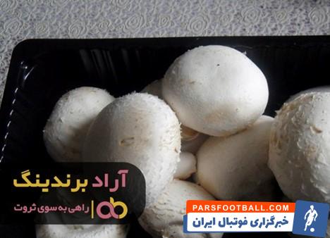 قارچ طبیعی
