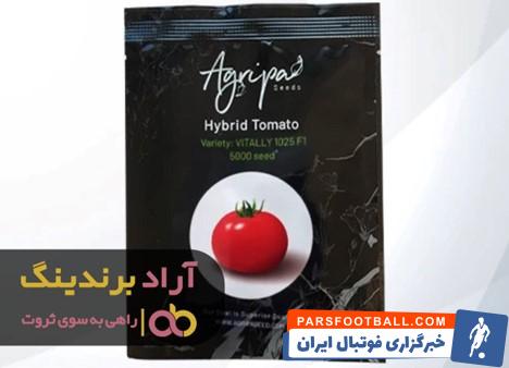 بذر گوجه 1012