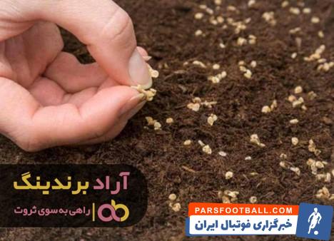 بذر گوجه برنتا