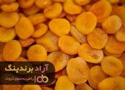 میوه خشک زردآلو
