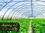 نایلون گلخانه دست دوم