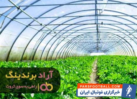 نایلون گلخانه دست دوم